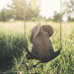 Daniel Cantón Perez