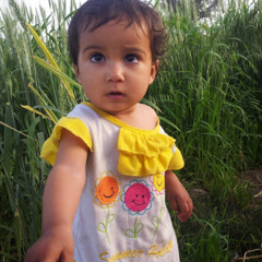 bashir mengal