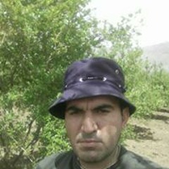 Hadizarei79/shiraz