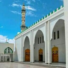 زول فهمان
