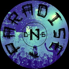 D'n'B Paradise