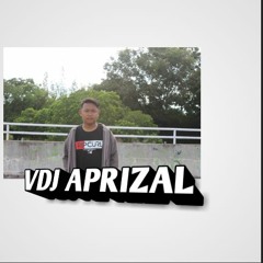 vdj aprizal