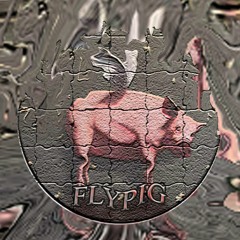 fly pig