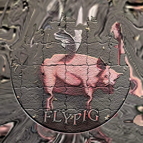 fly pig’s avatar