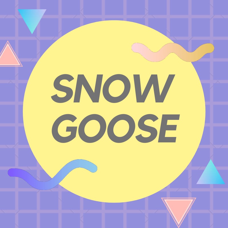 Snow Goose podcast artwork