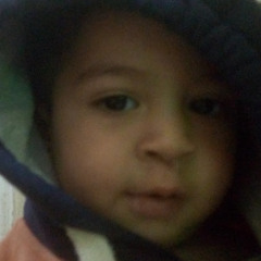 Alaa Abod