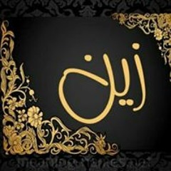 چنى انس زين