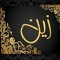 چنى انس زين