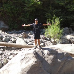 Javier Silva Ramos