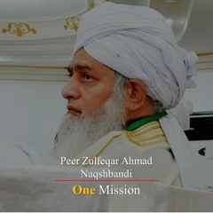 Peer Zulfeqar Ahmad