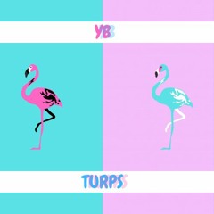 YB Turps