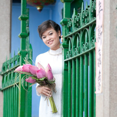 Quỳnh Vân Trần
