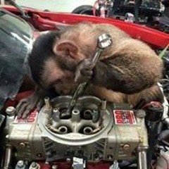 Юра Титаренко