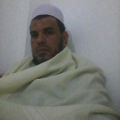 Essam Elhshame