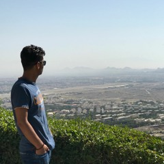 mohi