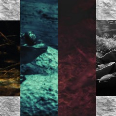 Elista Flight Program