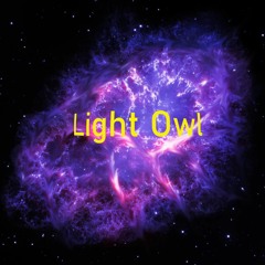 Light Owl