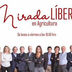 Darío Paya, José Antonio Viera-Gallo y Eleonora Urrutia: La pre-candidatura de Paula Narváez