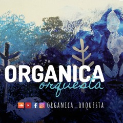 Orgánica Orquesta