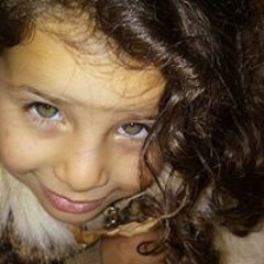 محمود غانم