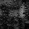 ashkan_ask