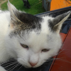 Neu und angesagt: Alternative Rock