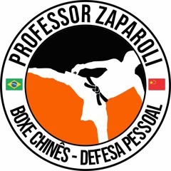 Luiz Henrique Zaparoli