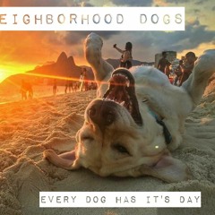 The Neighborhood Dogs