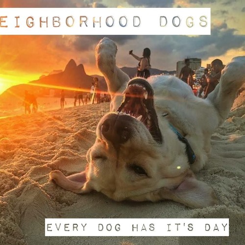 The Neighborhood Dogs’s avatar