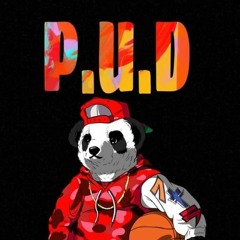 P.U.D
