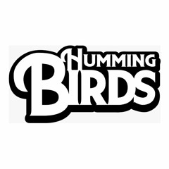 Humming Birds