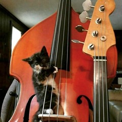 Count Otto Van Shanoo