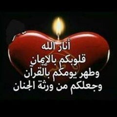 محمد شعلان شعلان