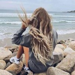 user431617901