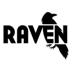 TheRaven1207