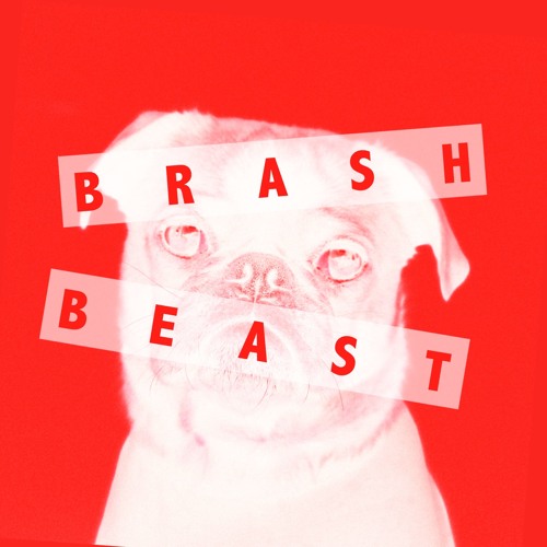 BRASH BEAST’s avatar