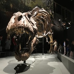 Rogier van der Westen