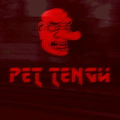 Pet Tengu
