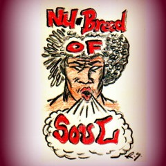 NuBreed of Soul