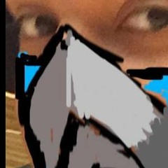 Navivan