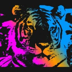 Beautiful Noise (KLBP)