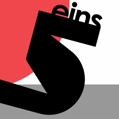 eins5