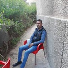 محمود راشد