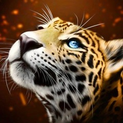 Jaguar Musick