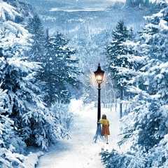 Narnian Lover