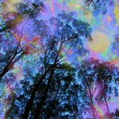Fungilice