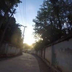 Bas
