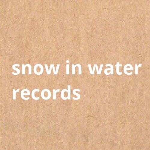 Snow in Water Records’s avatar