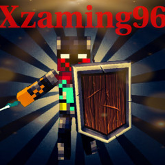 Xzaming 96