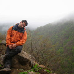 Ali Abedini
